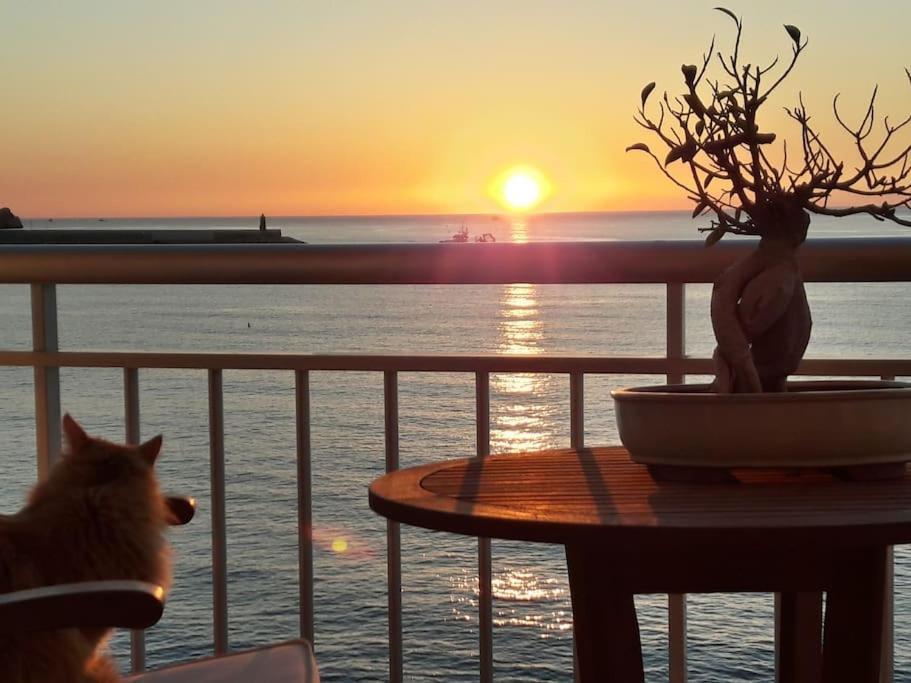 La Casa Del Port Appartement Jávea Buitenkant foto