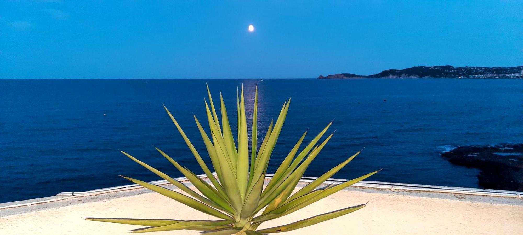 La Casa Del Port Appartement Jávea Buitenkant foto
